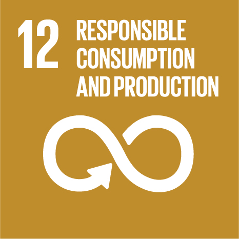Objectif 12 : Consommation et production durables