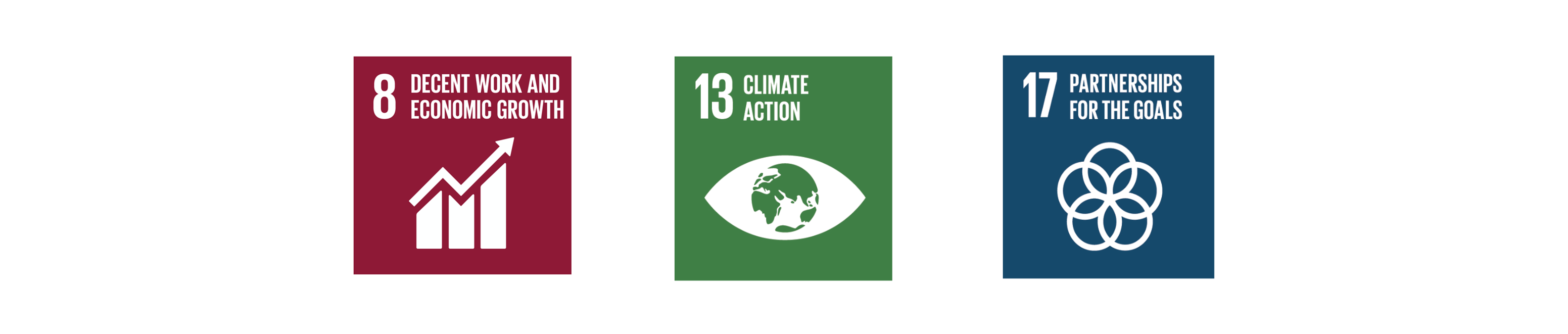 Sustainable Development Goals 8, 13, 17