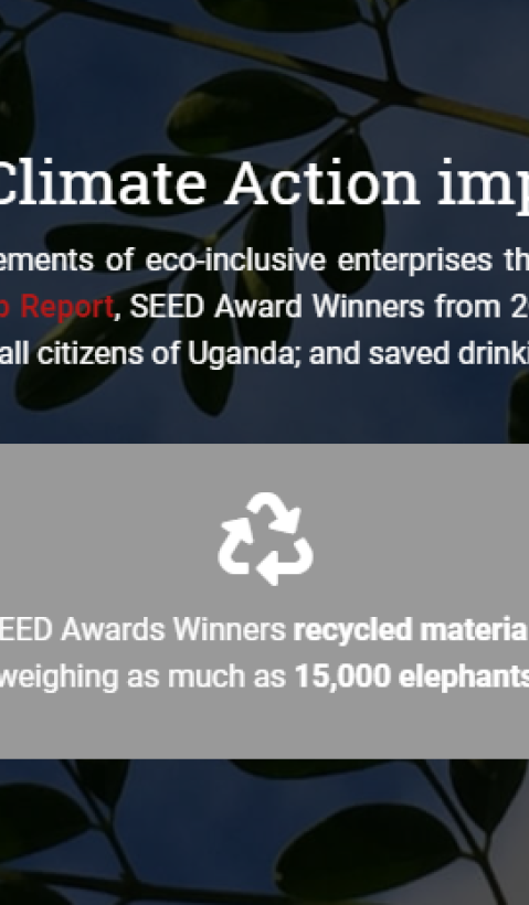 impacts