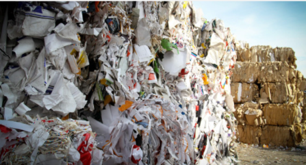 Circular Economy
