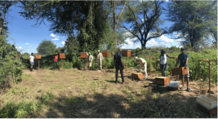 Climate Change Adaptation