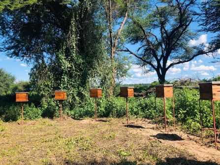 biodiversity-based-entrepreneurship biodiversity-based-entrepreneurship