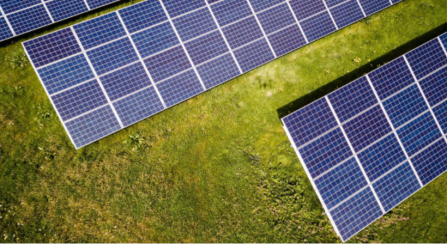 Climate Action