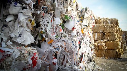 waste