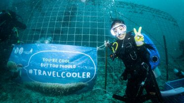 Enterprise Profiles Seed Uno