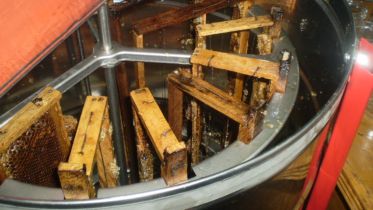 Enterprise Profiles Seed Uno